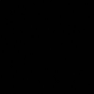 Meet your Posher, Gemma